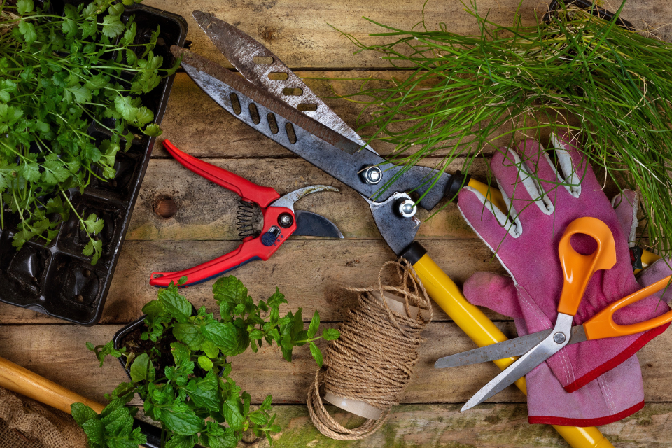 Gardening tools