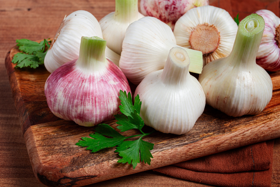 Various garlics
