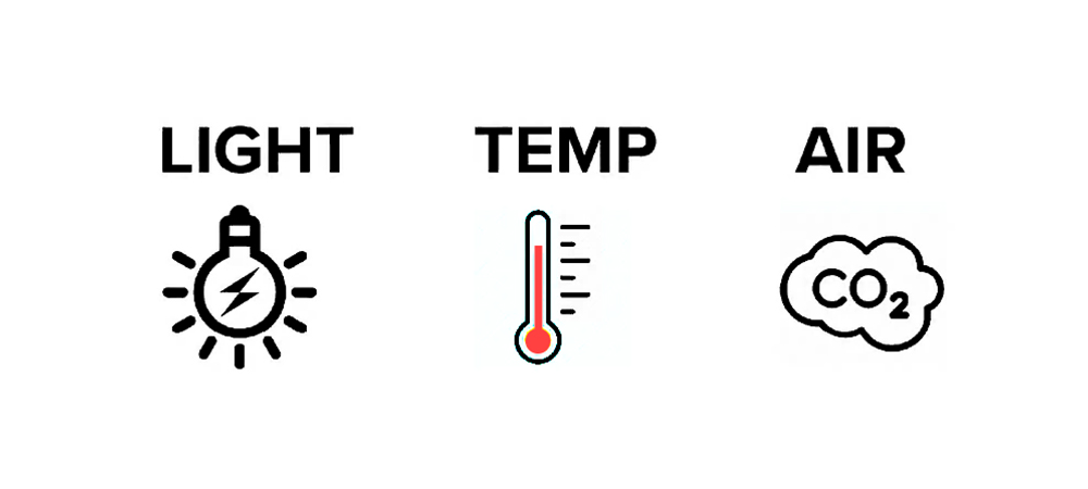 Light, temp, CO2 level in the air