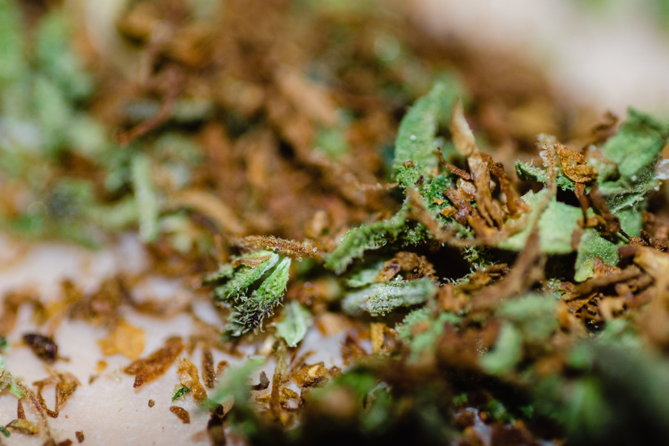 dried weed
