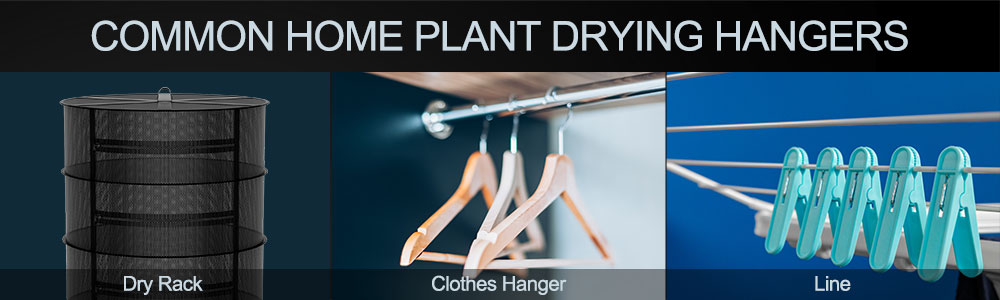 commonly used plant drying racks at home: mesh drying rack,clothes drying hangers,drying lines