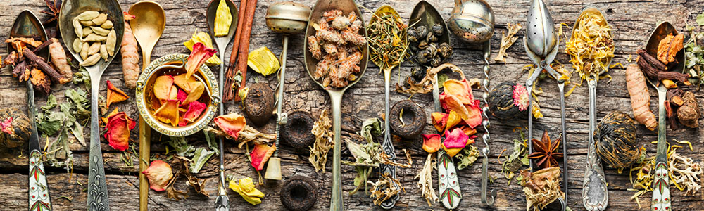 Dried herbs, plants, flowers