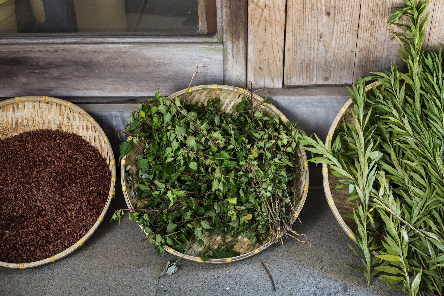 Prepare herbs for drying