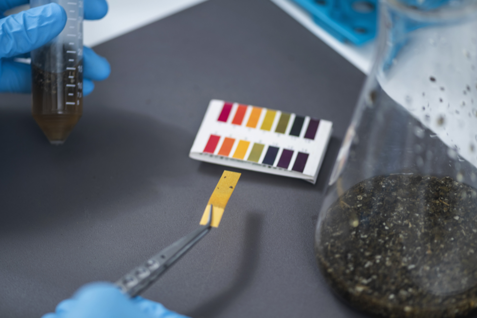 lab tests