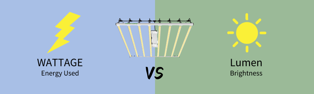 Wattage vs Lumen