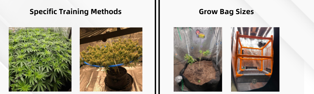 different sizes of grow pots afftect the size of tents you will need