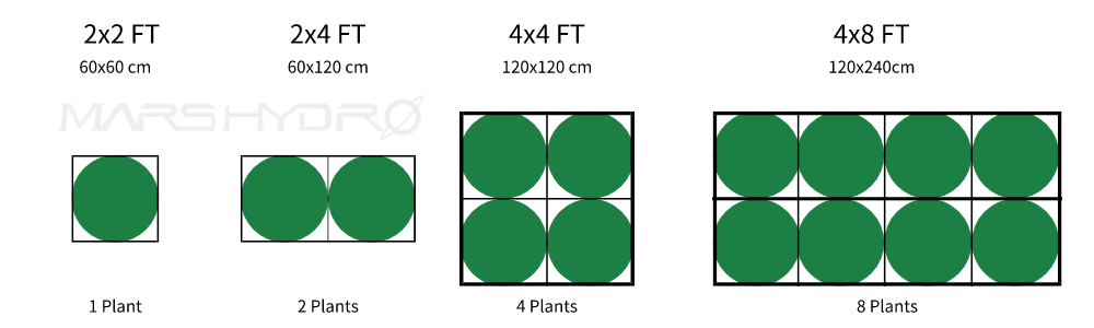 what size for 2 plants, what size for 4 plants, what size for 8 plants