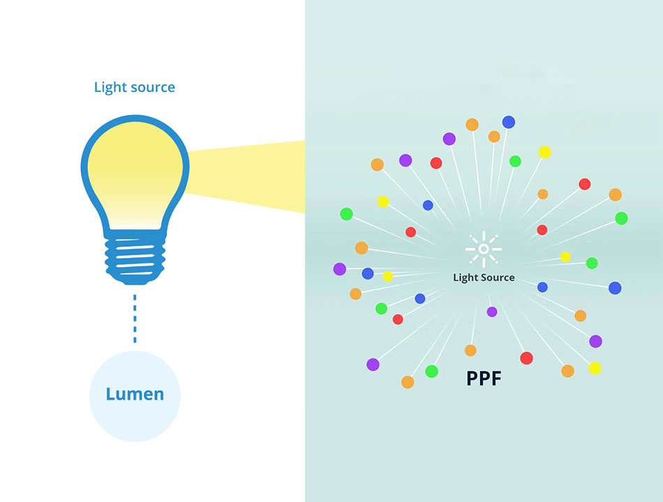 understanding lumen and ppf, lumen vs. ppf