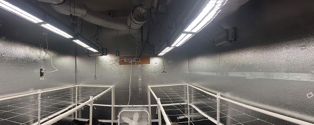 4 sp6500s in a grow room