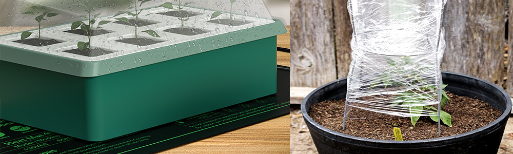 https://www.mars-hydro.com/media/wysiwyg/Blog/seedling_heat_mat/how_to_keep_plants_warm_in_winter-4.jpg