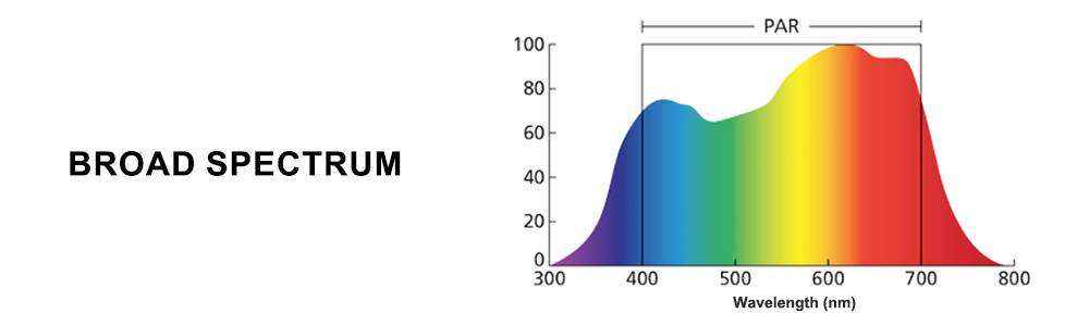The spectrum chart of broad spectrum led grow lights