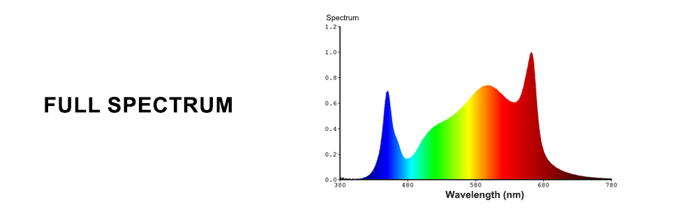 The spectrum chart of full spectrum led grow lights