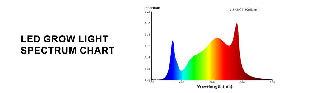 LED grow light spectrum chart