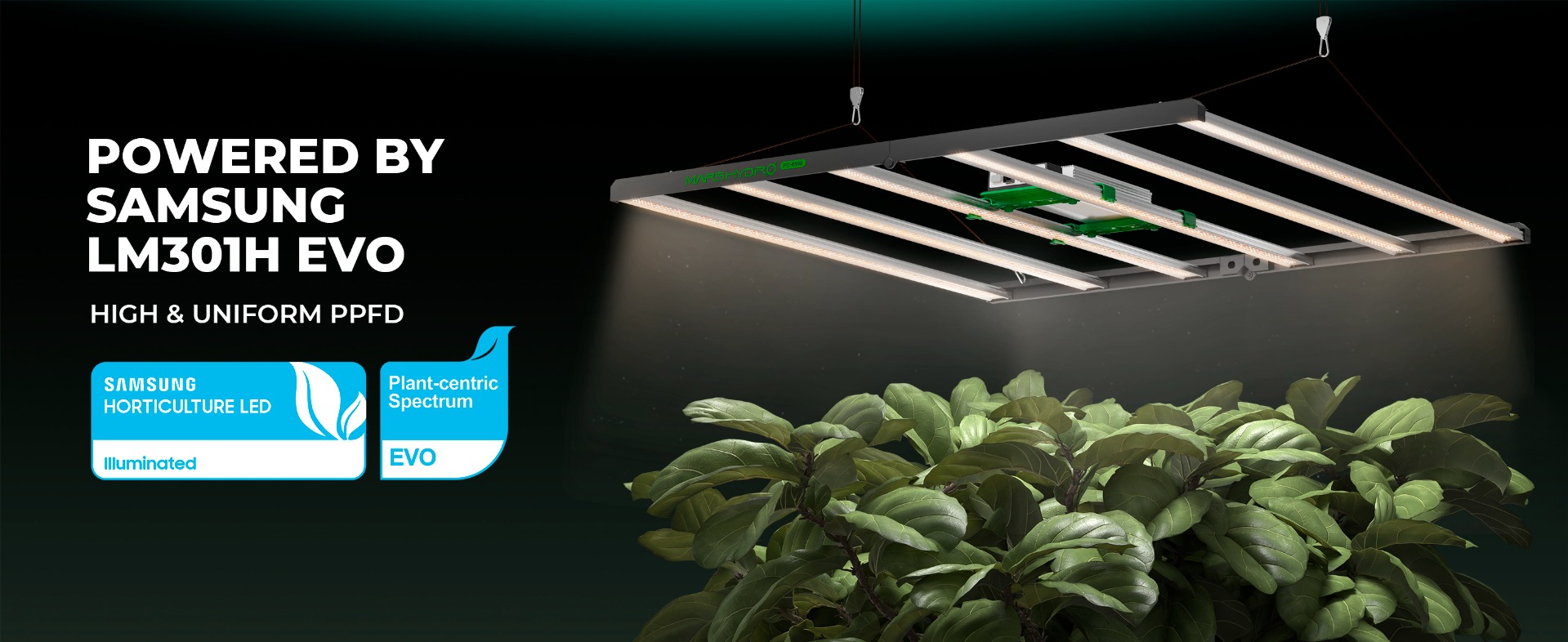 Mars Hydro FC6500 LED Grow Light 730Watt