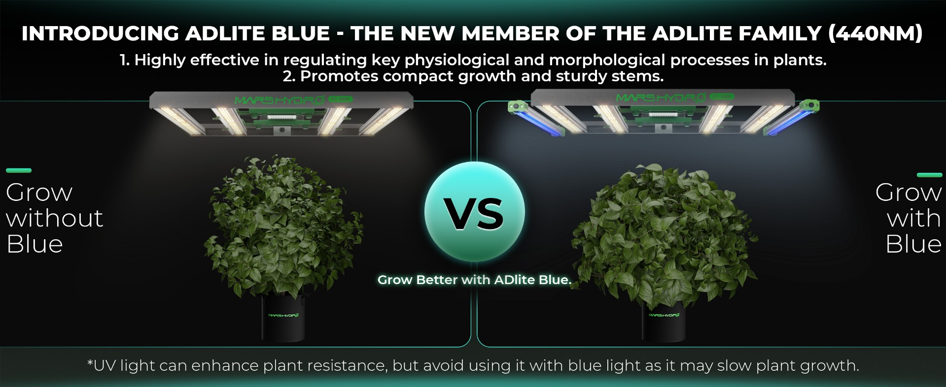 Introducing Adlite Blue