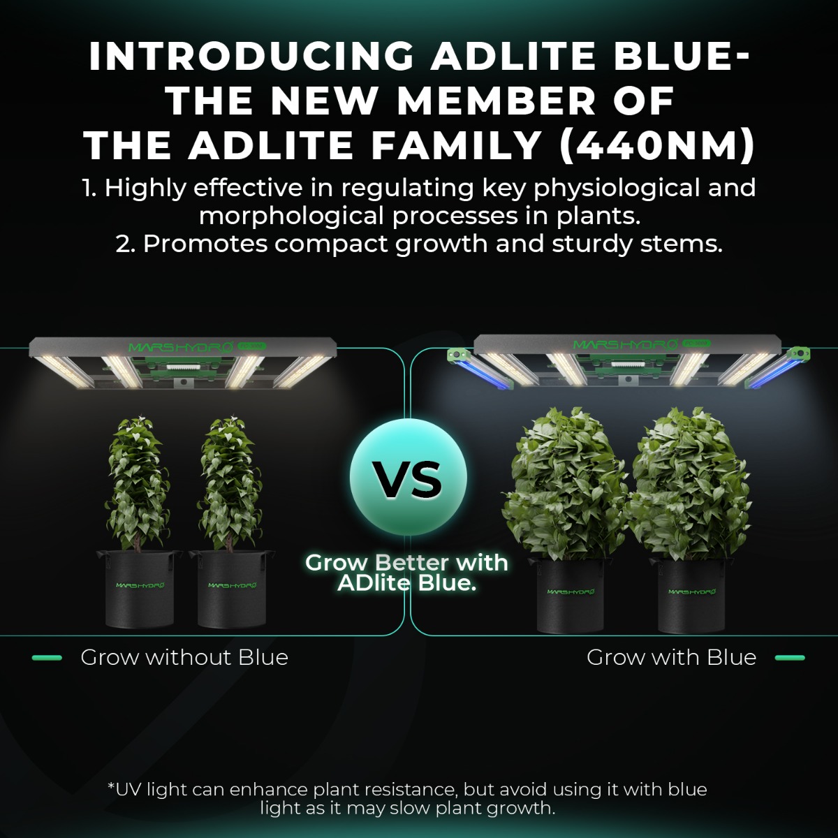 ADlite 藍色光谱作用