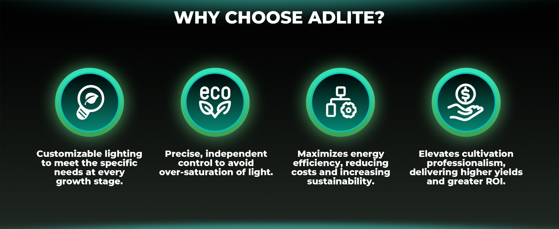 Why choose Adlite 2025 supplement LED