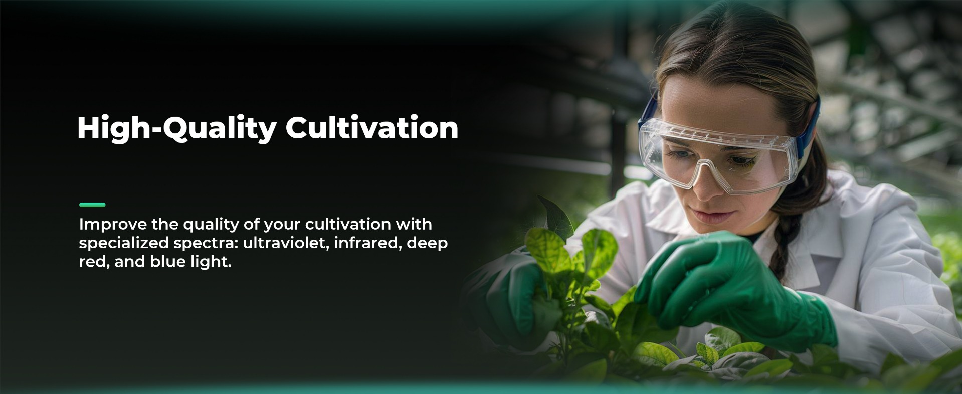 High-quality cultivation with Adlite 2025