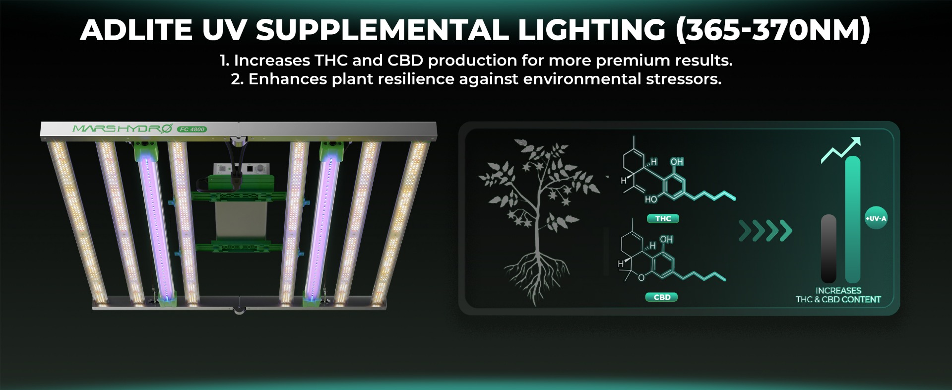 Introducing Adlite UV for 2025