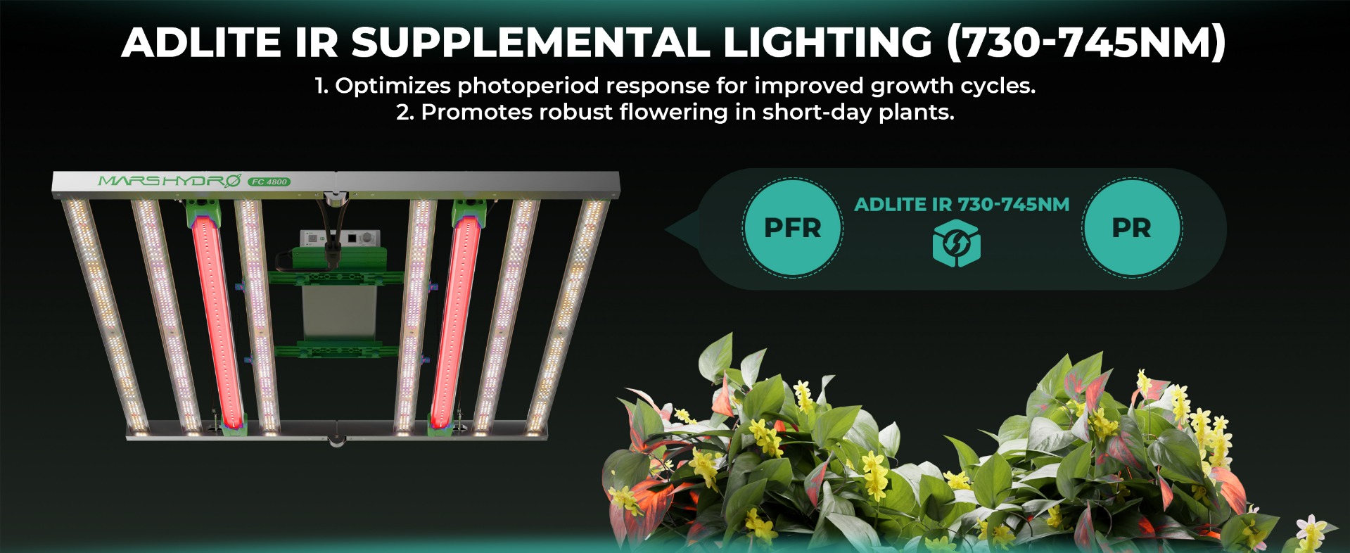 Introducing Adlite UV for 2025