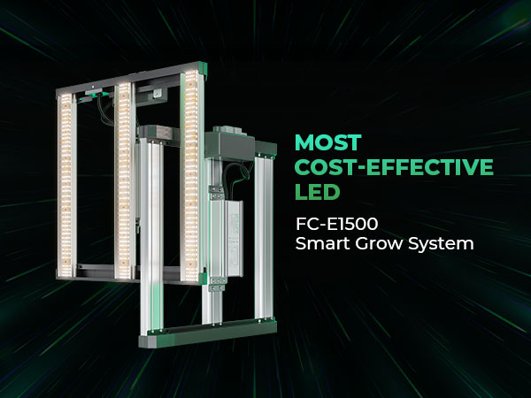 Best Grow Lights for Indoor Plants | Mars Hydro FC-E1500