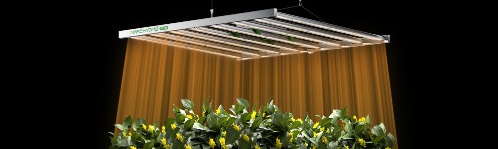 Mars Hydro LED grow light