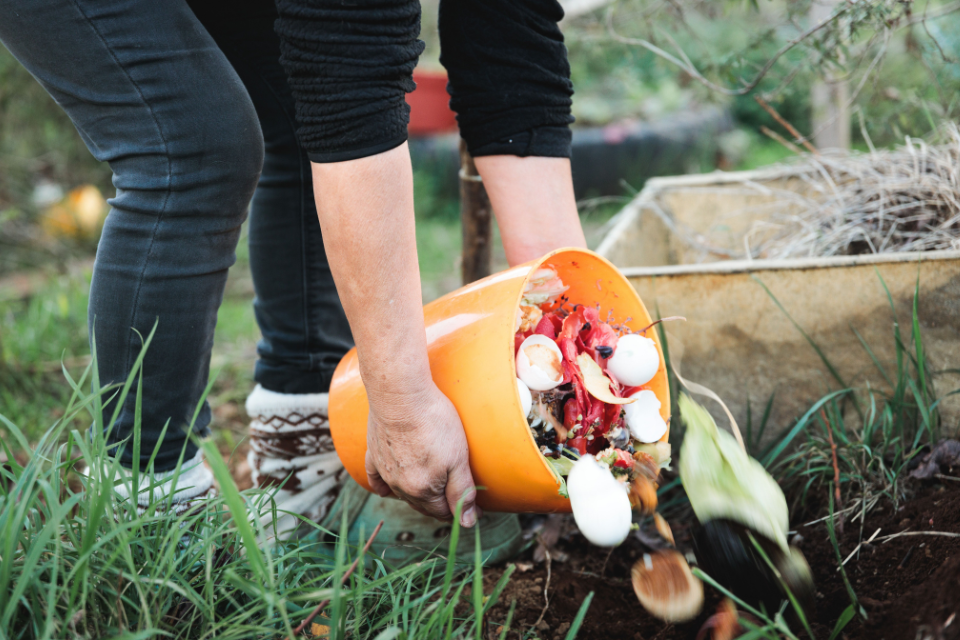 Compost