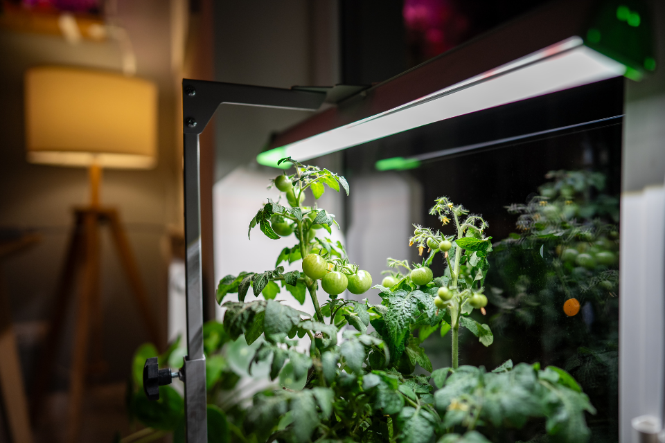 Grow light for indoor gardening