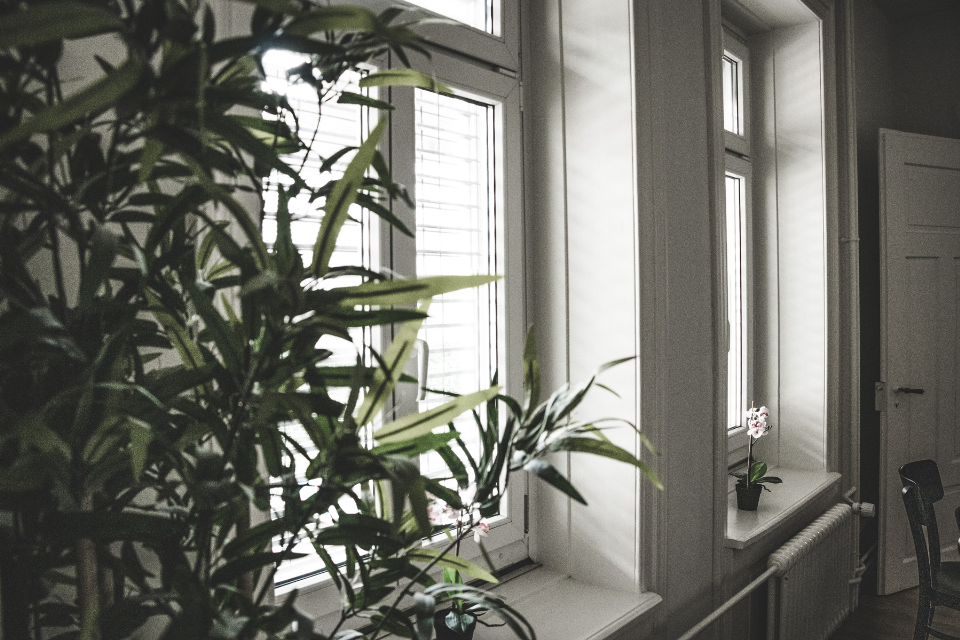 Indirect light