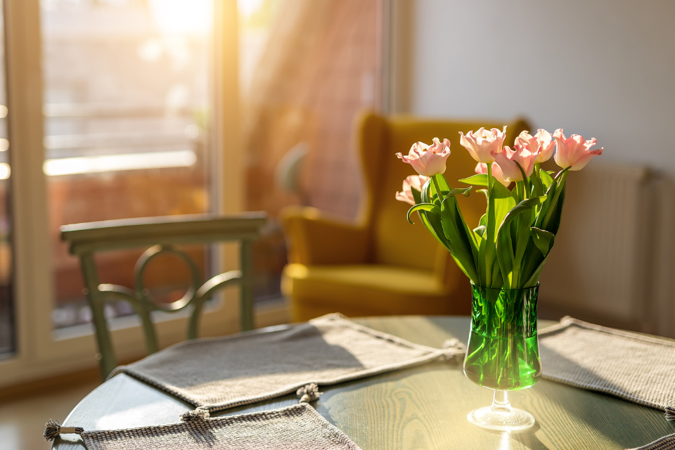 Bright indirect light example