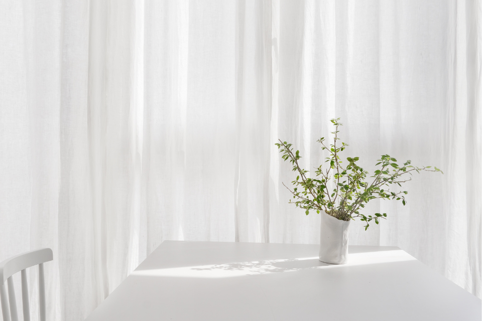window with sheer curtain