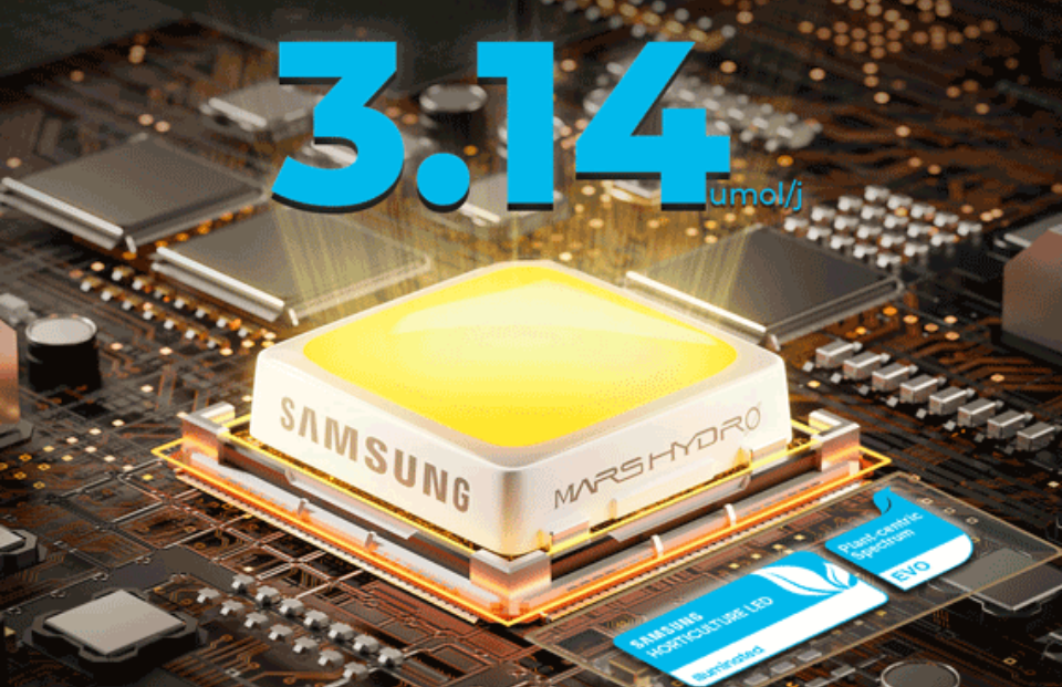Samsung LM301H EVO diodes
