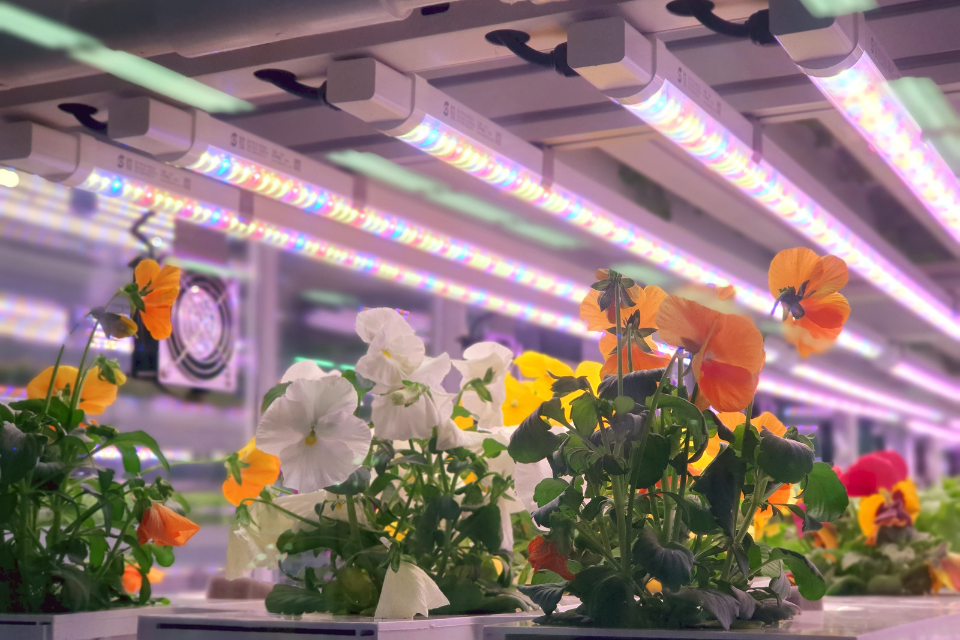 Indoor lighting