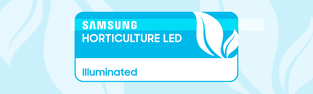 Samsung led chips