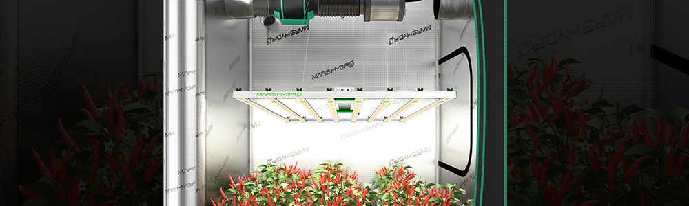 large-sized led grow lights