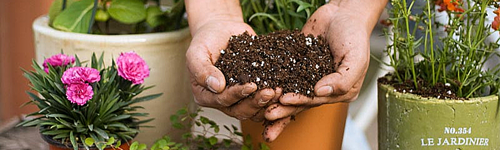 how to improve the soil