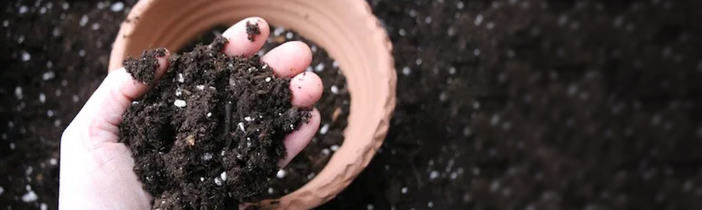 use potting mix soil for indoor plants
