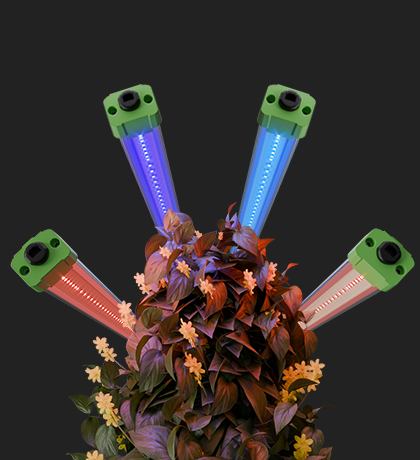 ADlite Supplemental LED Grow Lights | Mars Hydro ADlite Supplemental LED Grow Lights | Mars Hydro