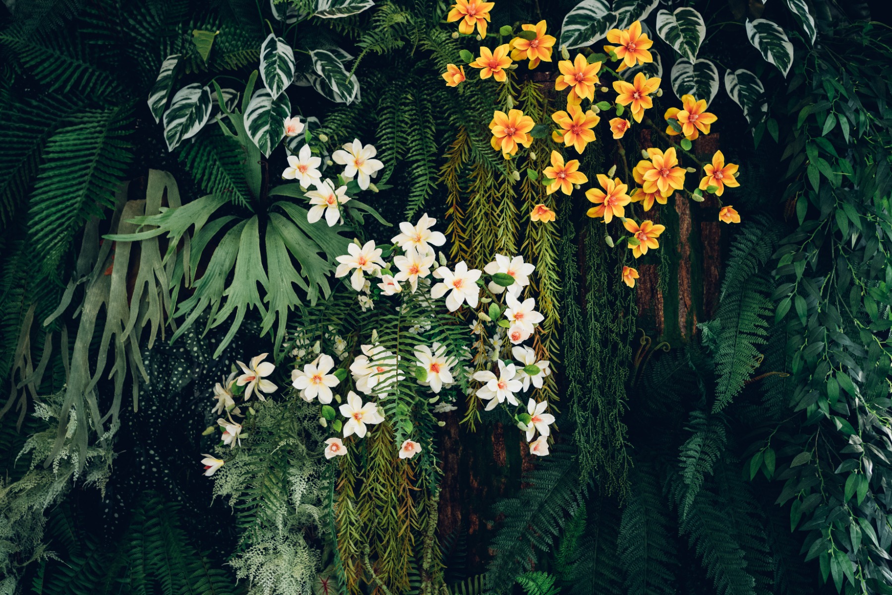 Plants in the flowering stage