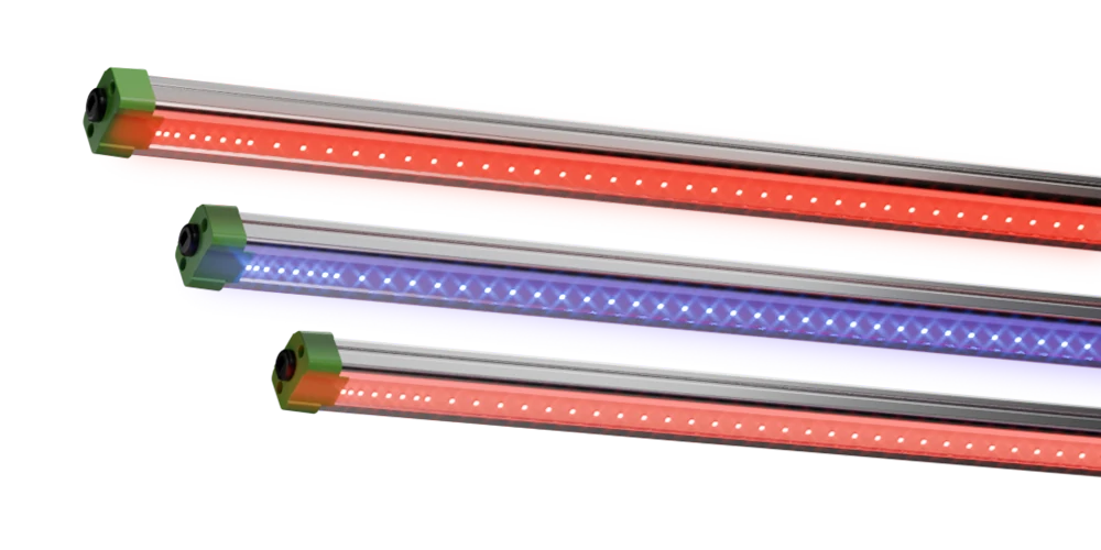 611EKkhDVuL._UF894,1000_QL80_.jpg