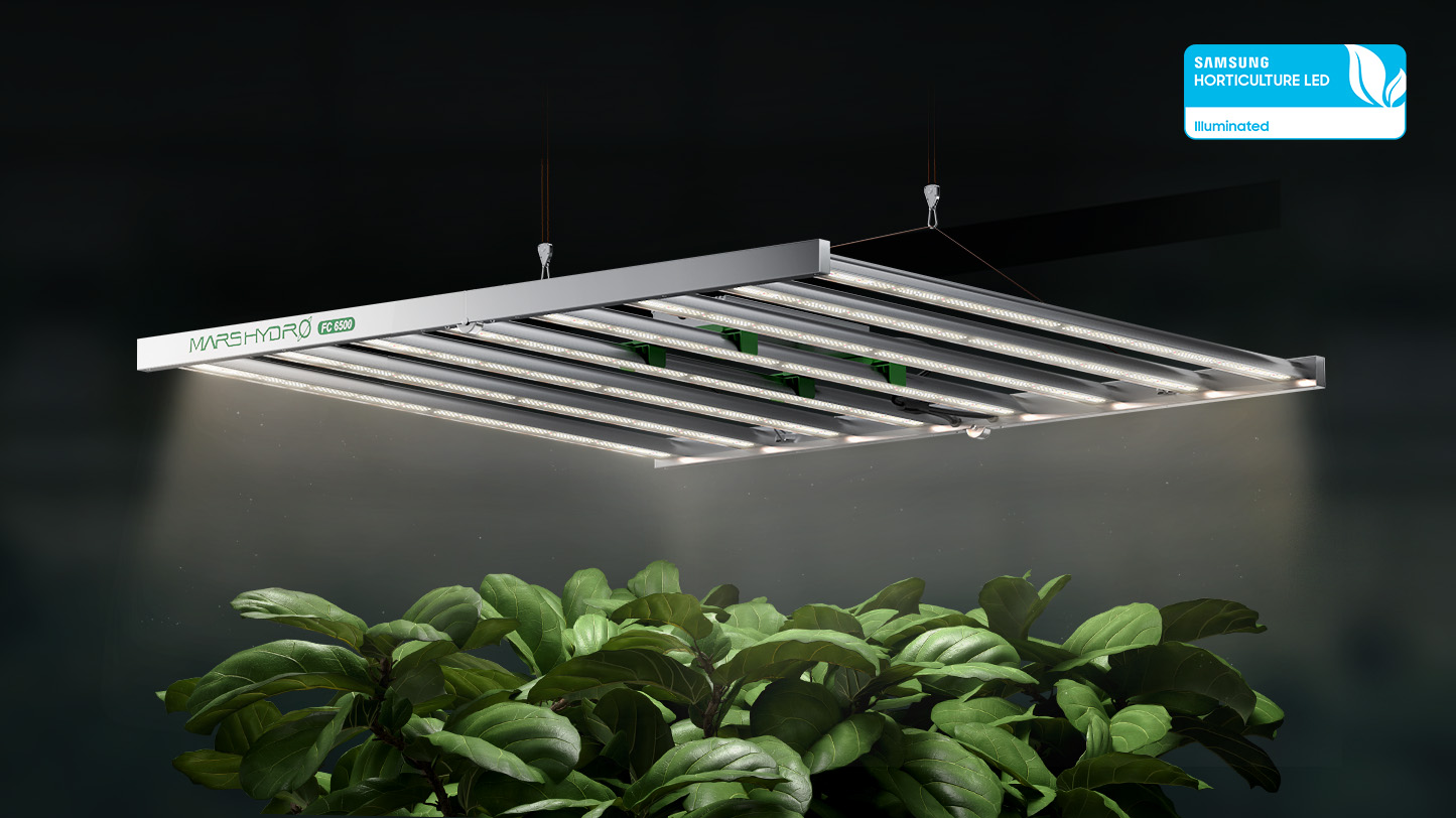 fc led grow light